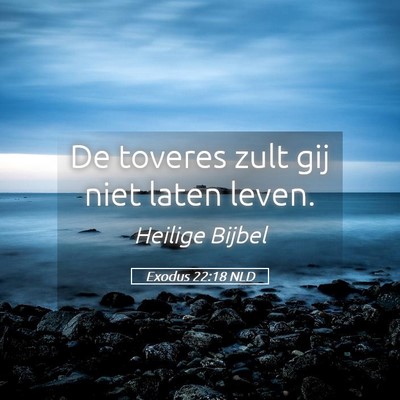 Picture 05 - Exodus 22:18 NLD - De toveres zult gij niet laten - Bible Verse Picture