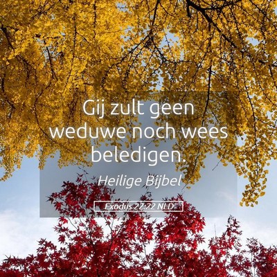 Picture 05 - Exodus 22:22 NLD - Gij zult geen weduwe noch wees - Bible Verse Picture