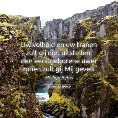 Picture 05 - Exodus 22:29 NLD - Uw volheid en uw tranen zult gij niet uitstellen; - Bible Verse Picture