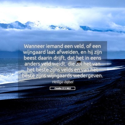 Picture 05 - Exodus 22:5 NLD - Wanneer iemand een veld, of een wijngaard laat - Bible Verse Picture