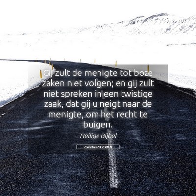 Picture 05 - Exodus 23:2 NLD - Gij zult de menigte tot boze zaken niet volgen; - Bible Verse Picture