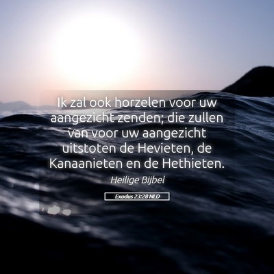 Picture 05 - Exodus 23:28 NLD - Ik zal ook horzelen voor uw aangezicht zenden; - Bible Verse Picture