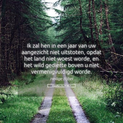Picture 05 - Exodus 23:29 NLD - Ik zal hen in een jaar van uw aangezicht niet - Bible Verse Picture