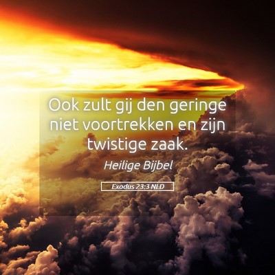 Picture 05 - Exodus 23:3 NLD - Ook zult gij den geringe niet voortrekken en zijn - Bible Verse Picture