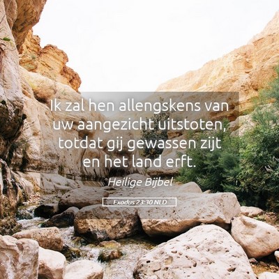 Picture 05 - Exodus 23:30 NLD - Ik zal hen allengskens van uw aangezicht - Bible Verse Picture