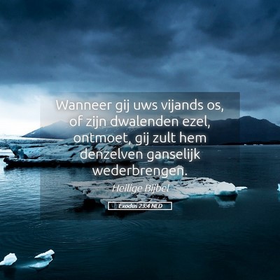 Picture 05 - Exodus 23:4 NLD - Wanneer gij uws vijands os, of zijn dwalenden - Bible Verse Picture