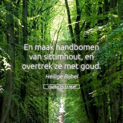 Picture 05 - Exodus 25:13 NLD - En maak handbomen van sittimhout, en overtrek ze - Bible Verse Picture