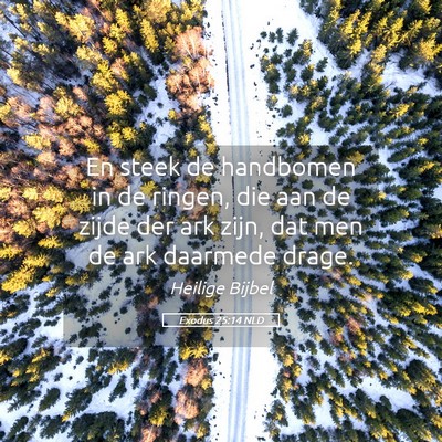 Picture 05 - Exodus 25:14 NLD - En steek de handbomen in de ringen, die aan de - Bible Verse Picture