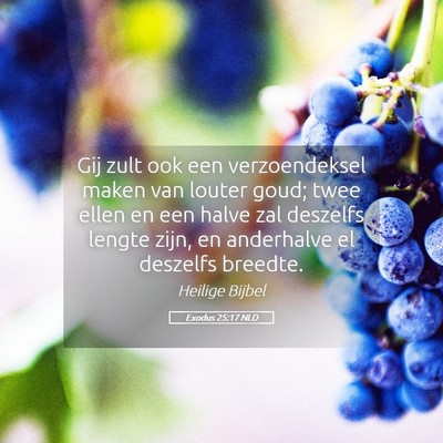 Picture 05 - Exodus 25:17 NLD - Gij zult ook een verzoendeksel maken van louter - Bible Verse Picture