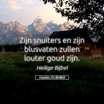 Picture 05 - Exodus 25:38 NLD - Zijn snuiters en zijn blusvaten zullen louter - Bible Verse Picture