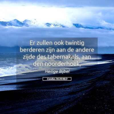 Picture 05 - Exodus 26:20 NLD - Er zullen ook twintig berderen zijn aan de andere - Bible Verse Picture