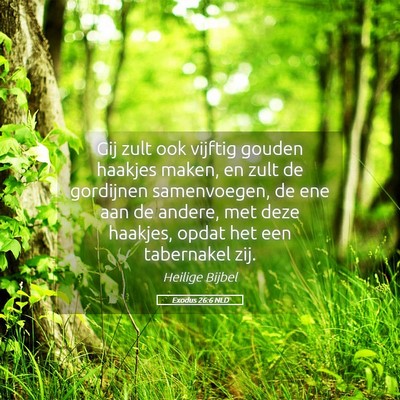 Picture 05 - Exodus 26:6 NLD - Gij zult ook vijftig gouden haakjes maken, en - Bible Verse Picture
