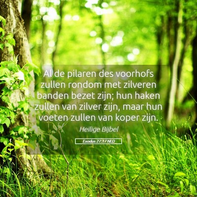 Picture 05 - Exodus 27:17 NLD - Al de pilaren des voorhofs zullen rondom met - Bible Verse Picture