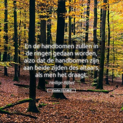 Picture 05 - Exodus 27:7 NLD - En de handbomen zullen in de ringen gedaan - Bible Verse Picture