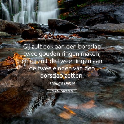 Picture 05 - Exodus 28:23 NLD - Gij zult ook aan den borstlap twee gouden ringen - Bible Verse Picture