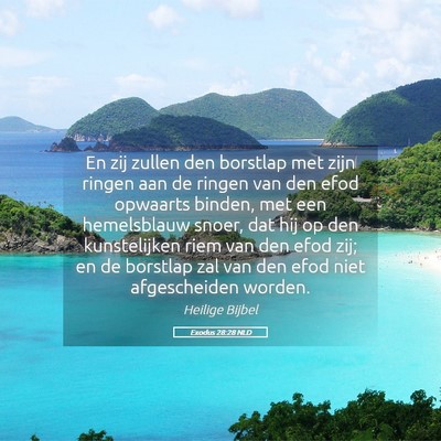 Picture 05 - Exodus 28:28 NLD - En zij zullen den borstlap met zijn ringen aan de - Bible Verse Picture