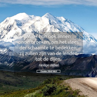 Picture 05 - Exodus 28:42 NLD - Maak hun ook linnen onderbroeken, om het vlees - Bible Verse Picture