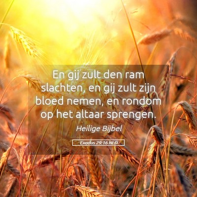 Picture 05 - Exodus 29:16 NLD - En gij zult den ram slachten, en gij zult zijn - Bible Verse Picture