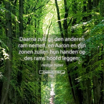 Picture 05 - Exodus 29:19 NLD - Daarna zult gij den anderen ram nemen, en Aaron - Bible Verse Picture