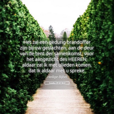 Picture 05 - Exodus 29:42 NLD - Het zal een gedurig brandoffer zijn bij uw - Bible Verse Picture
