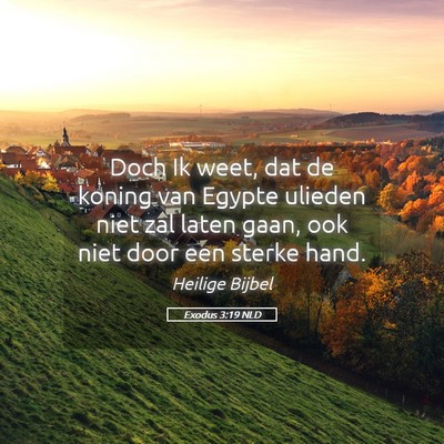 Picture 05 - Exodus 3:19 NLD - Doch Ik weet, dat de koning van Egypte ulieden - Bible Verse Picture