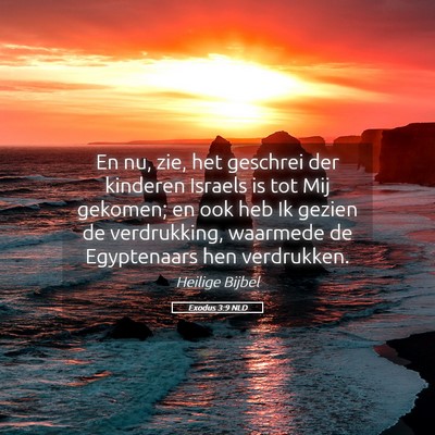 Picture 05 - Exodus 3:9 NLD - En nu, zie, het geschrei der kinderen Israels is - Bible Verse Picture