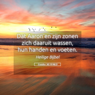 Picture 05 - Exodus 30:19 NLD - Dat Aaron en zijn zonen zich daaruit wassen, hun - Bible Verse Picture
