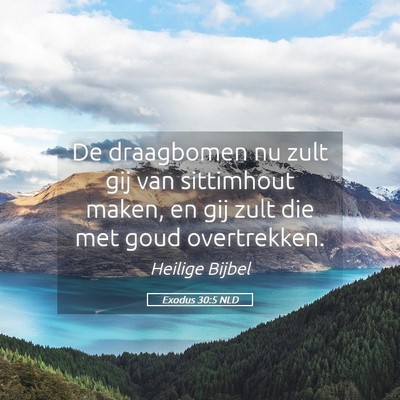 Picture 05 - Exodus 30:5 NLD - De draagbomen nu zult gij van sittimhout maken, - Bible Verse Picture
