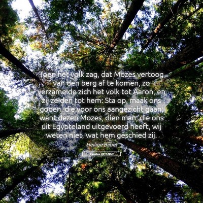 Picture 05 - Exodus 32:1 NLD - Toen het volk zag, dat Mozes vertoog van den berg - Bible Verse Picture