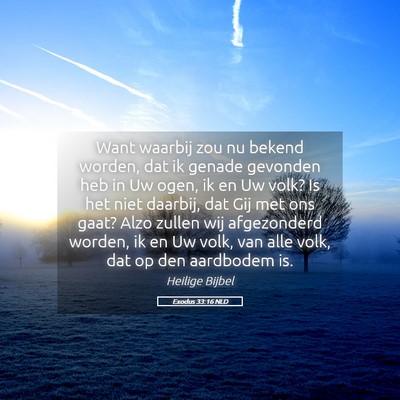Picture 05 - Exodus 33:16 NLD - Want waarbij zou nu bekend worden, dat ik genade - Bible Verse Picture