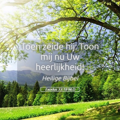 Picture 05 - Exodus 33:18 NLD - Toen zeide hij: Toon mij nu Uw - Bible Verse Picture