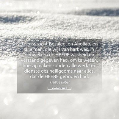 Picture 05 - Exodus 36:1 NLD - Toen wrocht Bezaleel en Aholiab, en alle man, die - Bible Verse Picture
