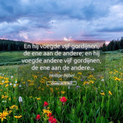 Picture 05 - Exodus 36:10 NLD - En hij voegde vijf gordijnen, de ene aan de - Bible Verse Picture