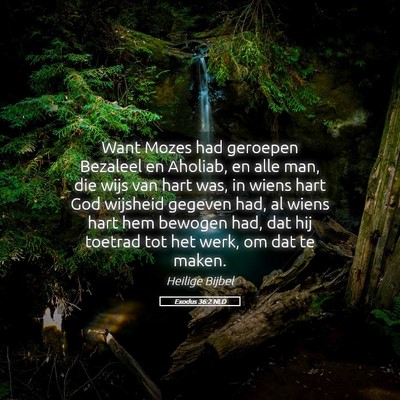 Picture 05 - Exodus 36:2 NLD - Want Mozes had geroepen Bezaleel en Aholiab, en - Bible Verse Picture