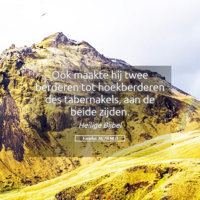 Picture 05 - Exodus 36:28 NLD - Ook maakte hij twee berderen tot hoekberderen des - Bible Verse Picture