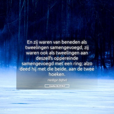 Picture 05 - Exodus 36:29 NLD - En zij waren van beneden als tweelingen - Bible Verse Picture