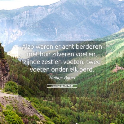 Picture 05 - Exodus 36:30 NLD - Alzo waren er acht berderen met hun zilveren - Bible Verse Picture