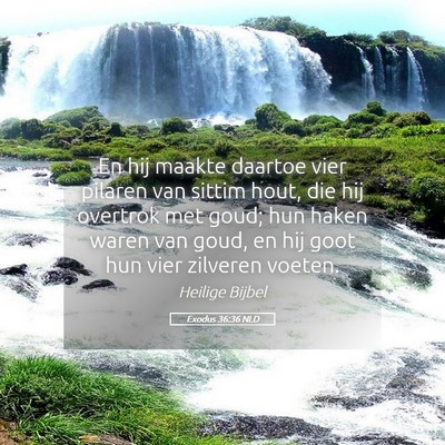 Picture 05 - Exodus 36:36 NLD - En hij maakte daartoe vier pilaren van sittim - Bible Verse Picture