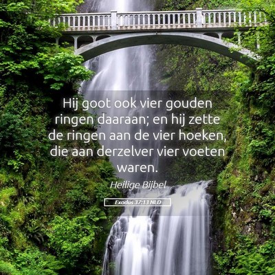 Picture 05 - Exodus 37:13 NLD - Hij goot ook vier gouden ringen daaraan; en hij - Bible Verse Picture