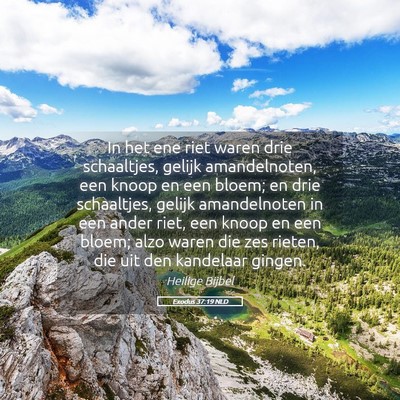 Picture 05 - Exodus 37:19 NLD - In het ene riet waren drie schaaltjes, gelijk - Bible Verse Picture
