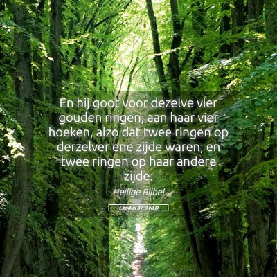 Picture 05 - Exodus 37:3 NLD - En hij goot voor dezelve vier gouden ringen, aan - Bible Verse Picture