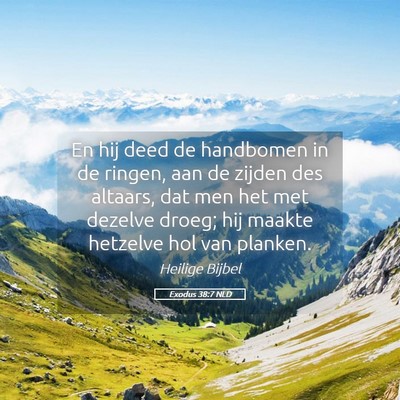 Picture 05 - Exodus 38:7 NLD - En hij deed de handbomen in de ringen, aan de - Bible Verse Picture