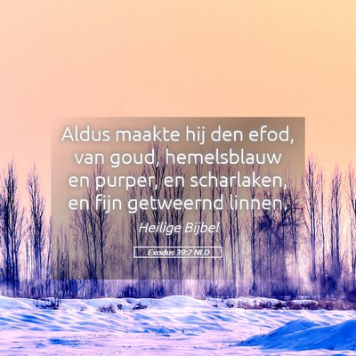 Picture 05 - Exodus 39:2 NLD - Aldus maakte hij den efod, van goud, hemelsblauw - Bible Verse Picture