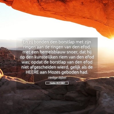 Picture 05 - Exodus 39:21 NLD - En zij bonden den borstlap met zijn ringen aan de - Bible Verse Picture