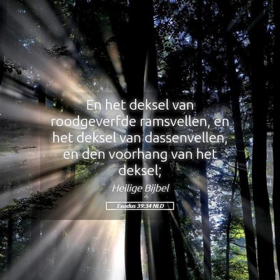 Picture 05 - Exodus 39:34 NLD - En het deksel van roodgeverfde ramsvellen, en het - Bible Verse Picture