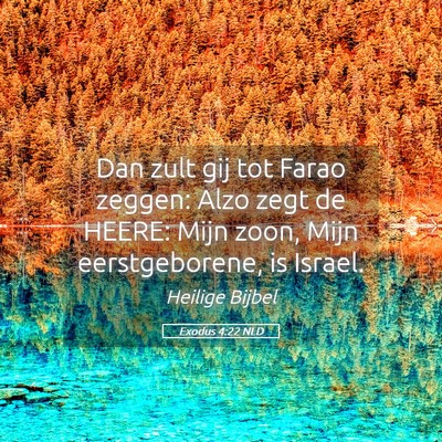 Picture 05 - Exodus 4:22 NLD - Dan zult gij tot Farao zeggen: Alzo zegt de - Bible Verse Picture