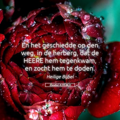 Picture 05 - Exodus 4:24 NLD - En het geschiedde op den weg, in de herberg, dat - Bible Verse Picture