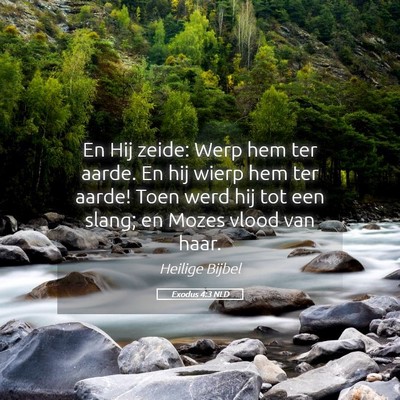 Picture 05 - Exodus 4:3 NLD - En Hij zeide: Werp hem ter aarde. En hij wierp - Bible Verse Picture