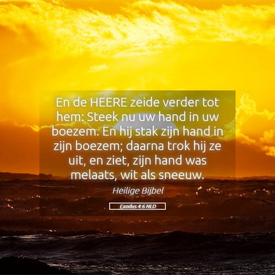 Picture 05 - Exodus 4:6 NLD - En de HEERE zeide verder tot hem: Steek nu uw - Bible Verse Picture
