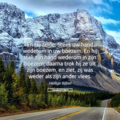 Picture 05 - Exodus 4:7 NLD - En Hij zeide: Steek uw hand wederom in uw boezem. - Bible Verse Picture